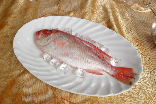 紅目瞳