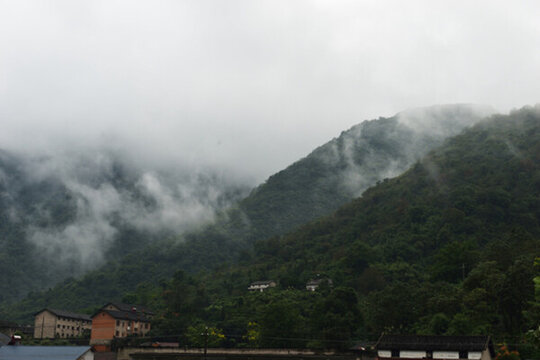山區(qū)霧景