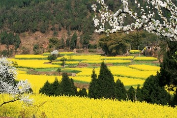 山鄉(xiāng)春色