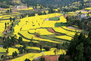 山鄉(xiāng)春色