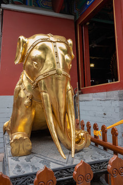 寺廟門(mén)口的銅象
