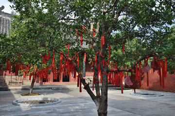 當(dāng)陽關(guān)陵