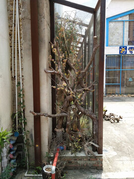 外觀建筑設(shè)計(jì)