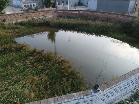 池塘