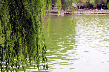昌吉公園美景