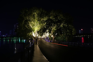 九江李公堤夜景