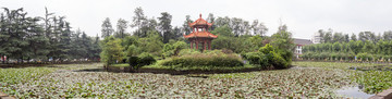 四川大學(xué)東區(qū)荷花池全景