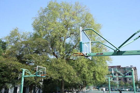 校園籃球場(chǎng)