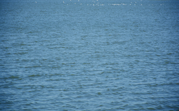 海面