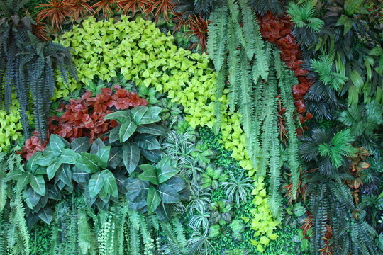 綠植墻