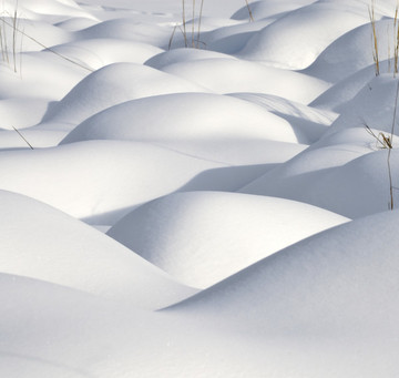 雪地