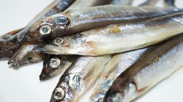 新鮮多春魚