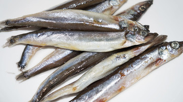 海產(chǎn)多春魚
