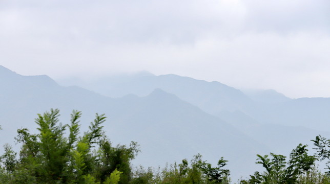 水墨畫(huà)