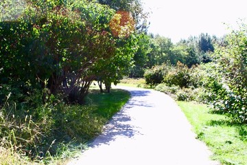 小路
