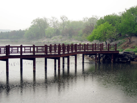九曲十八彎的木橋