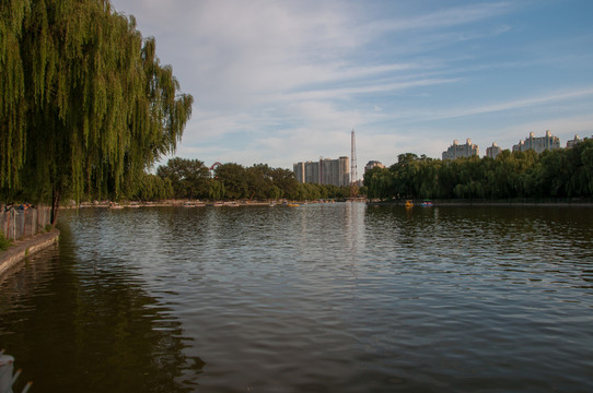 朝陽公園