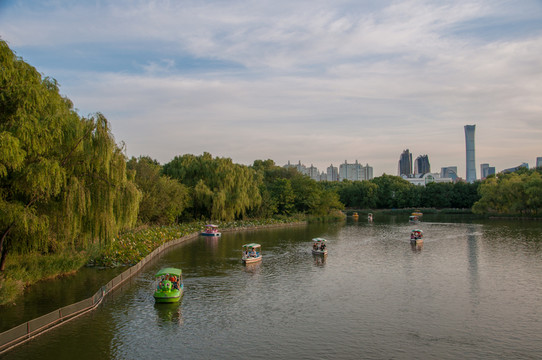 朝陽公園