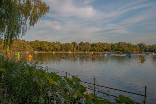 朝陽公園
