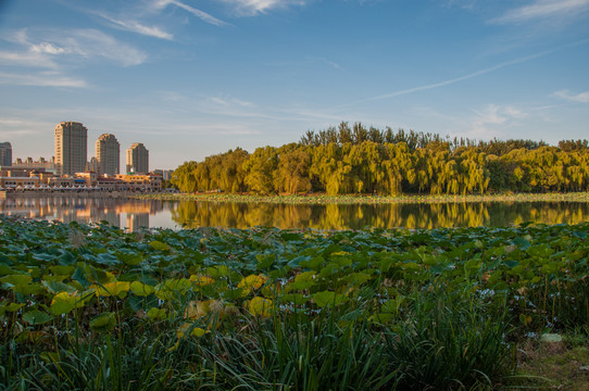 朝陽(yáng)公園
