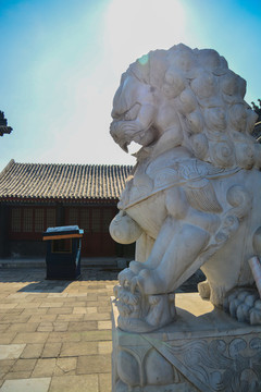 石獅子