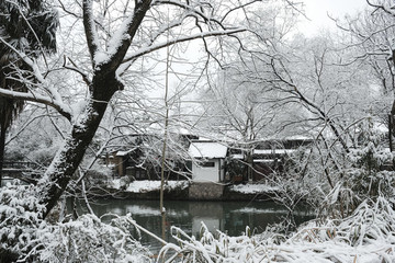 西溪雪景