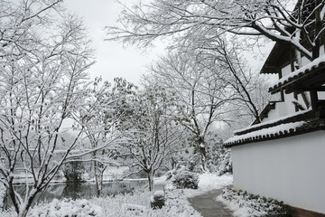 西溪雪景