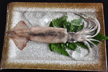 魷魚