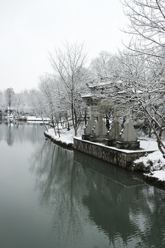 西溪雪景