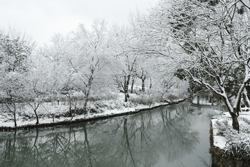 西溪雪景