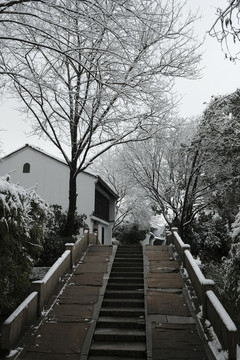西溪雪景