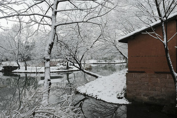西溪雪景
