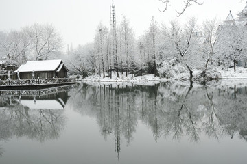西溪雪景