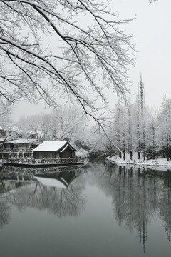 西溪雪景