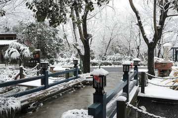 西溪初雪