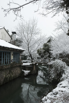 西溪初雪