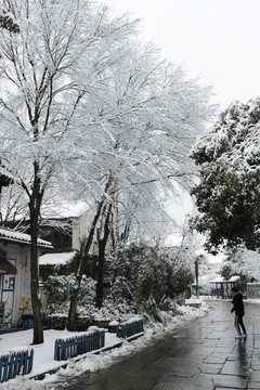 西溪濕地國家公園