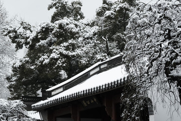 江南雪