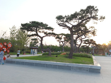 杉灣美景