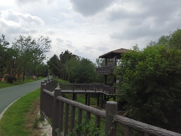 公園小路
