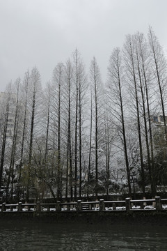 運(yùn)河兩岸
