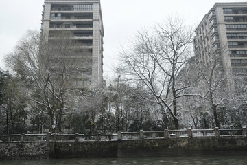 運(yùn)河兩岸