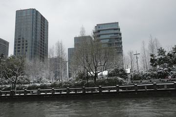 運(yùn)河兩岸