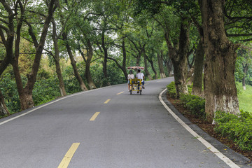 林蔭騎車