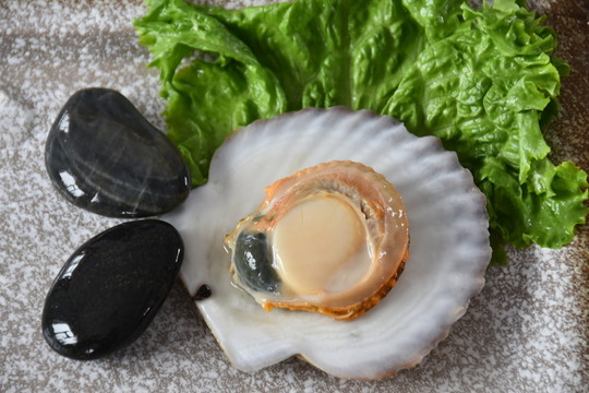 貝