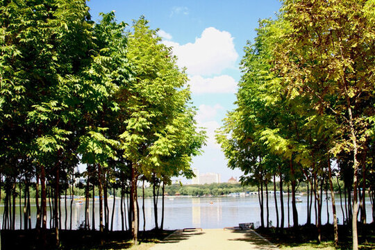公園