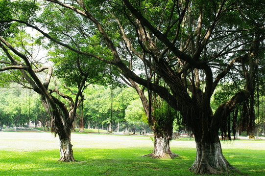 中山大學(xué)