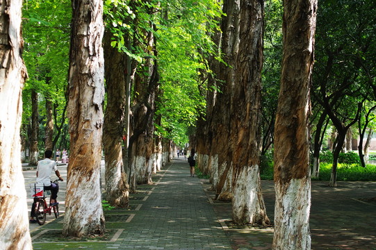 中山大學(xué)