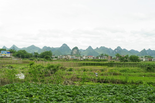 田園