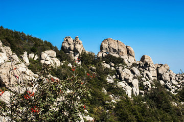 嶗山巨峰風(fēng)景區(qū)